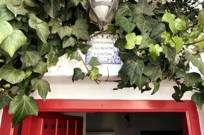 Jardín al aire libre en Beautiful and cozy cottage near Antequera