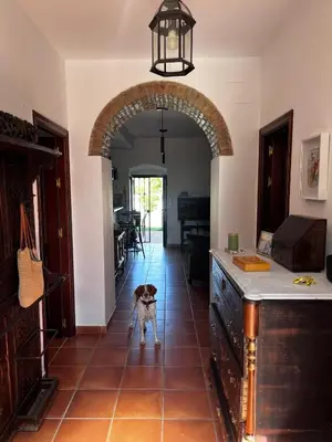 Una cocina o zona de cocina en Casa el Pedroso - Villa Limones
