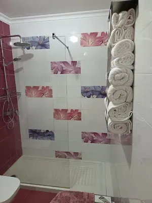 Un baño de Antonio del Toro