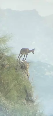 Animales en la villa o alrededores