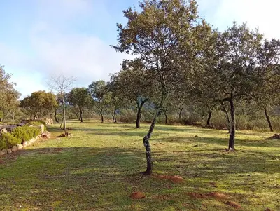 Jardín al aire libre en Finca Las Victorias