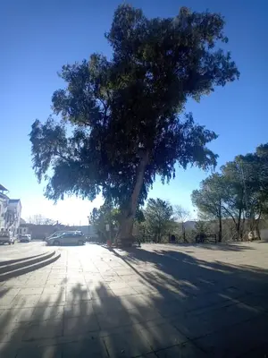 Paisaje cerca de este hostal o pensión