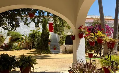 Jardín al aire libre en Hacienda Don Rodrigo