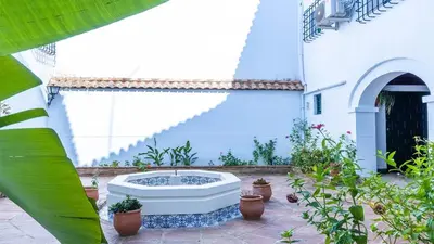 Jardín al aire libre en Patio de la Judería Deluxe Apartment