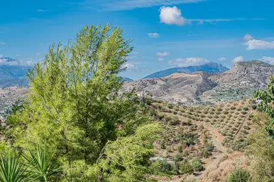 Paisaje cerca de este apartamento