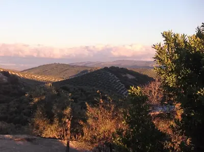 Paisaje cerca de esta casa o chalet