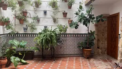 Jardín al aire libre en Apartamentos La Piconera