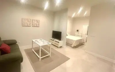 Una televisión o centro de entretenimiento en Apartamentos Almogavares Las Rosas