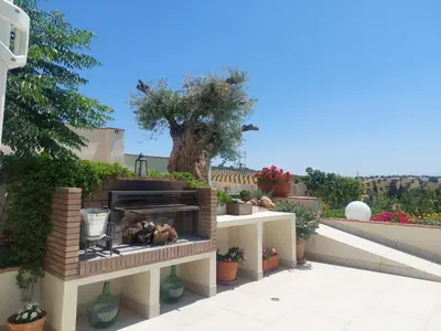 Plano de Casa del Olivo Lucio