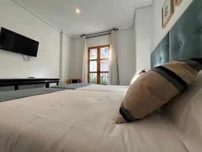 Cama o camas de una habitación en Hotel Maestre