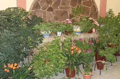 Jardín al aire libre en Maximiano Herculeo