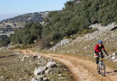 Montar en bicicleta en Casa Olea o alrededores