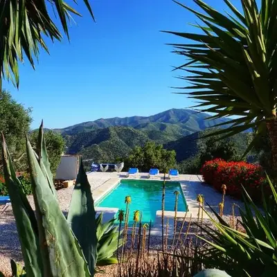 Olive Branch El Chorro