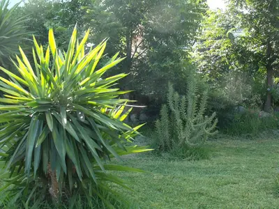 Jardín al aire libre en La Finca Blanca