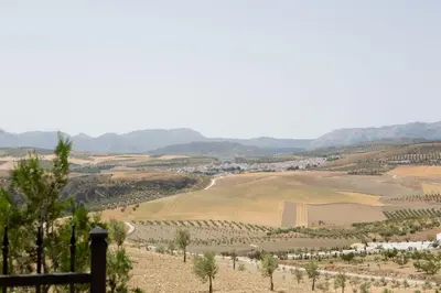 Paisaje cerca de este apartamento