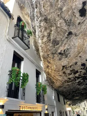 Edificio en el que se encuentra la casa o chalet
