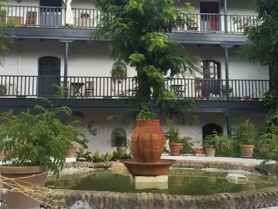 Jardín al aire libre en Oasis en el centro de Sevilla