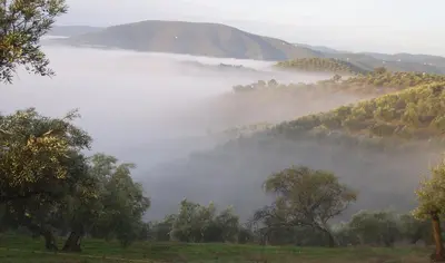 Paisaje cerca de este hostal o pensión