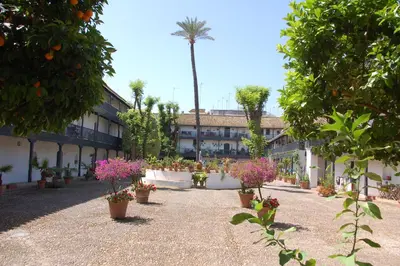 Jardín al aire libre en Luxury Apartment Plus Ultra