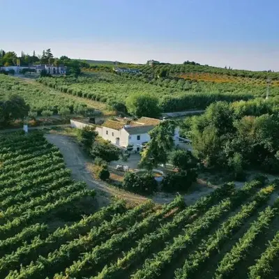 Bodega Boutique Finca Buytrón