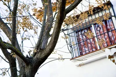 Edificio en el que se encuentra la villa