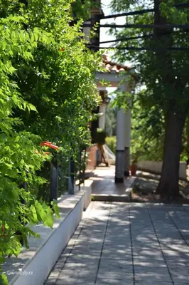 Jardín al aire libre en Contemporary Villa in Atarfe with Private Pool and Mountain View