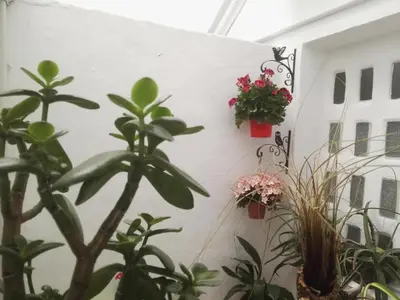 Jardín al aire libre en Apartamento La flor de Mayo