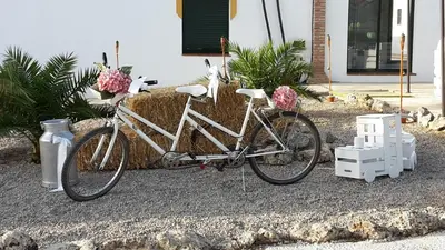 Montar en bicicleta en Alojamiento Rural El Chaparral o alrededores