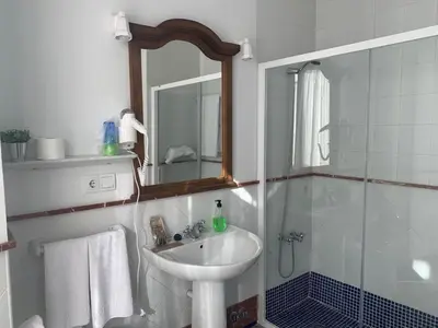 Un baño de Hotel Entreolivos