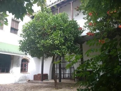 Plano de Patio Del Limonero