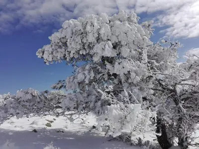 Villa Rural Campillo de Arenas en invierno