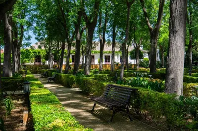 Jardín al aire libre en Cortijo Torre De La Reina