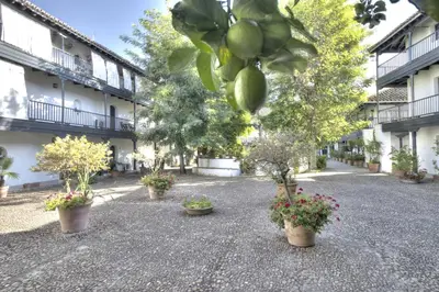 Jardín al aire libre en Un Oasis en el Corazón de Sevilla