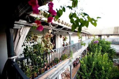 Jardín al aire libre en Un Oasis en el Corazón de Sevilla