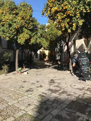 Jardín al aire libre en Apartamentos Flamenco B&B
