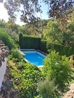 Piscina en o cerca de Cortijo el Chaparro