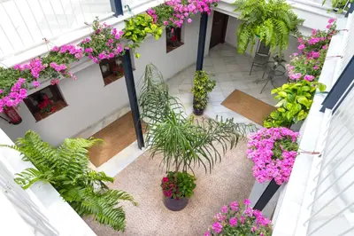 Jardín al aire libre en Casa Los Cuatro Soles