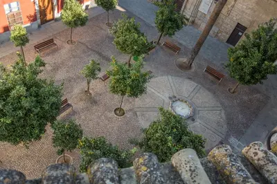Jardín al aire libre en SunShine Arco de San Francisco