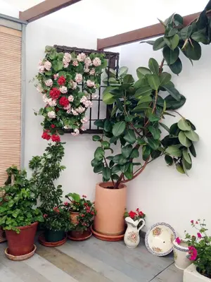 Jardín al aire libre en Patio San Lorenzo