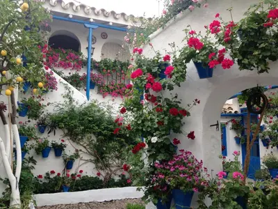 Jardín al aire libre en Patio San Lorenzo