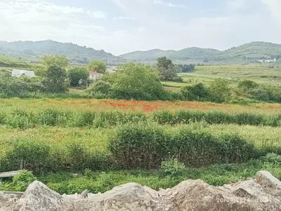 Paisaje cerca of this country house