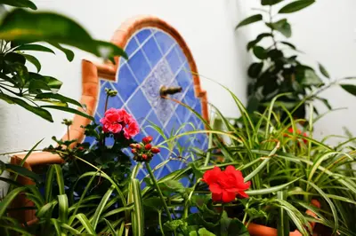Jardín al aire libre en La Casa del Río