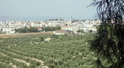Paisaje cerca de este hotel
