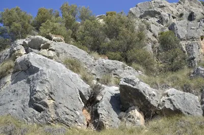 Paisaje cerca de este apartamento