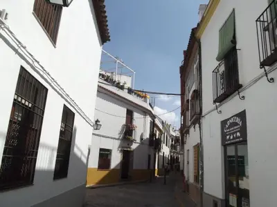 El barrio de los alrededores o un barrio cerca de este apartamento