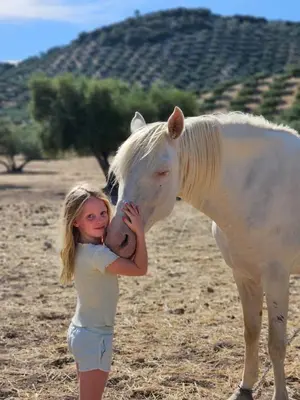 Animales en the country house o alrededores