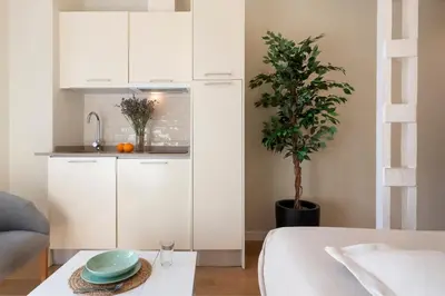 Una cocina o zona de cocina en Ópera Apartments Alameda