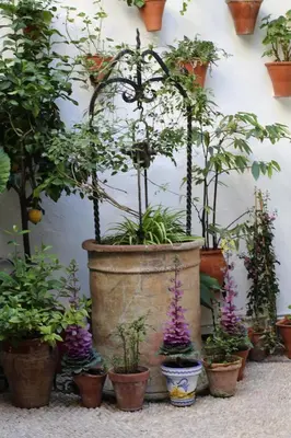 Jardín al aire libre en Casa longa