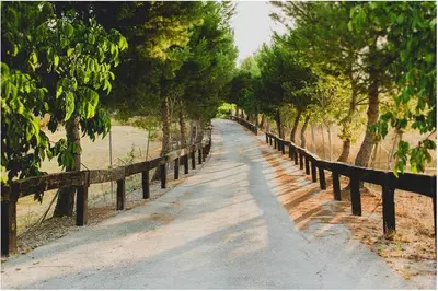 Jardín al aire libre en Cortijo Rural Español ¡Ideal para desconectar!
