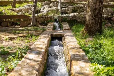 Jardín al aire libre en Hotel Rural El Castillejo - A 15 min de Ronda